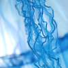 New Jellyfish Children's Tent Baby Mesh Moskito Net Blue Customized INS Lustiges Innen- und Außenzelt für Kinder