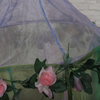 Rosa Blumendekoration, Betthimmel, Kinder, Mädchen, Lieblings-Sternendruck, Prinzessin, Bettvorhang, Moskitonetz